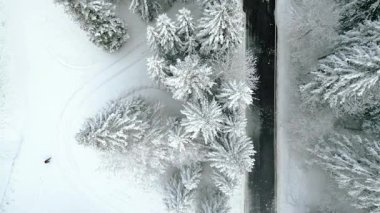 Yukarıdan seyrüsefer manzarası. İtalya 'da karla kaplı ormanlar