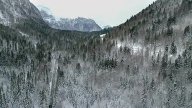 Yukarıdan seyrüsefer manzarası. İtalya 'da karla kaplı ormanlar