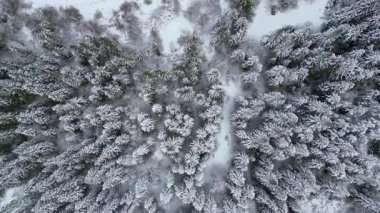 Yukarıdan seyrüsefer manzarası. İtalya 'da karla kaplı ormanlar