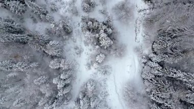 Yukarıdan seyrüsefer manzarası. İtalya 'da karla kaplı ormanlar