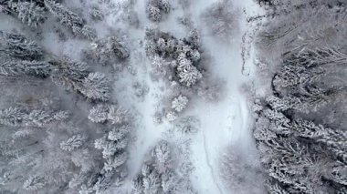 Iago del Predil 'in kış güzelliği, İtalya' da dağlarla çevrili göl. 