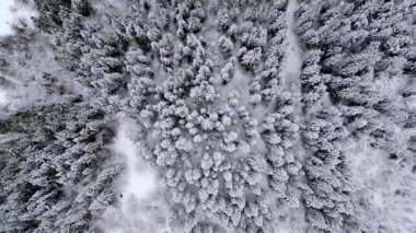 Kışın Lago del Predil 'in insansız hava aracından manzara, İtalya' da dağlarla çevrili göl. 