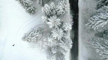 Kışın Lago del Predil 'in insansız hava aracının manzarası, İtalya' da dağlarla çevrili bir göl.. 