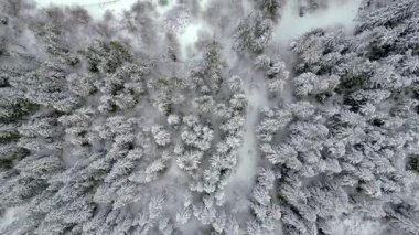 Kışın Lago del Predil 'in insansız hava aracının manzarası, İtalya' da dağlarla çevrili bir göl.. 