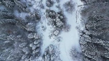 İtalya 'da dağlarla çevrili Lago del Predil Gölü' nün kış manzarası. 