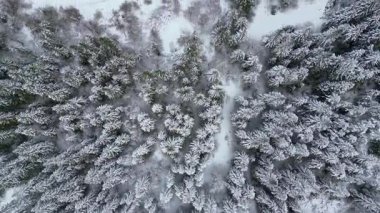 Lago del Predil, İtalya 'da dağlarla çevrili bir göl.. 