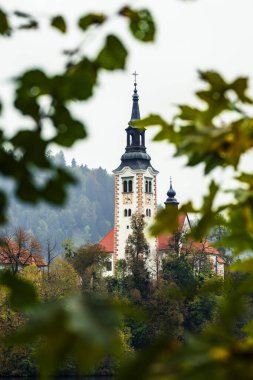 Slovenya, Bled - 16 Ekim 2024: Slovenya 'da tekneler ve mistik cazibeler arasında, Gölü' nün büyülü atmosferi sonbaharda patladı