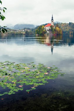 Slovenya, Bled - 16 Ekim 2024: Slovenya 'da tekneler ve mistik cazibeler arasında, Gölü' nün büyülü atmosferi sonbaharda patladı