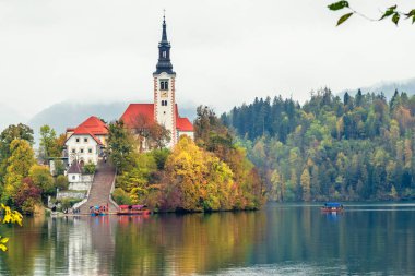 Slovenya, Bled - 16 Ekim 2024: Slovenya 'da tekneler ve mistik cazibeler arasında, Gölü' nün büyülü atmosferi sonbaharda patladı