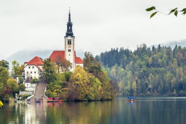 Slovenya, Bled - 16 Ekim 2024: Slovenya 'da tekneler ve mistik cazibeler arasında, Gölü' nün büyülü atmosferi sonbaharda patladı