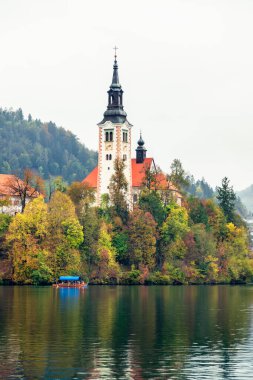 Slovenya, Bled - 16 Ekim 2024: Slovenya 'da tekneler ve mistik cazibeler arasında, Gölü' nün büyülü atmosferi sonbaharda patladı