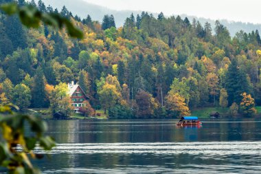 Slovenya, Bled - 16 Ekim 2024: Slovenya 'da tekneler ve mistik cazibeler arasında, Gölü' nün büyülü atmosferi sonbaharda patladı