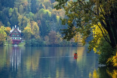 Slovenya, Bled - 16 Ekim 2024: Slovenya 'da tekneler ve mistik cazibeler arasında, Gölü' nün büyülü atmosferi sonbaharda patladı