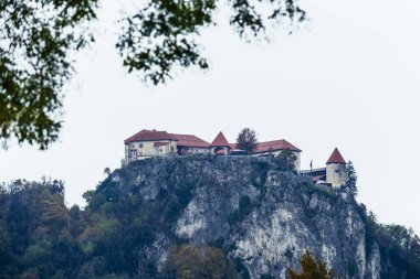Slovenya, Bled - 16 Ekim 2024: Slovenya 'da tekneler ve mistik cazibeler arasında, Gölü' nün büyülü atmosferi sonbaharda patladı