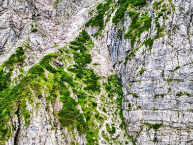 Creta Grauzaria 'daki Carnic Alpleri' nin dağları ve vahşi manzaraları