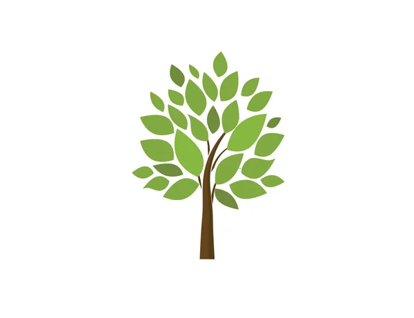 Πράσινη Σιλουέτα Δέντρου Απομονωμένη Λευκό Φόντο Διάνυσμα Πάρκο Εικονίδιο Διανύσματος — Διανυσματικό Αρχείο