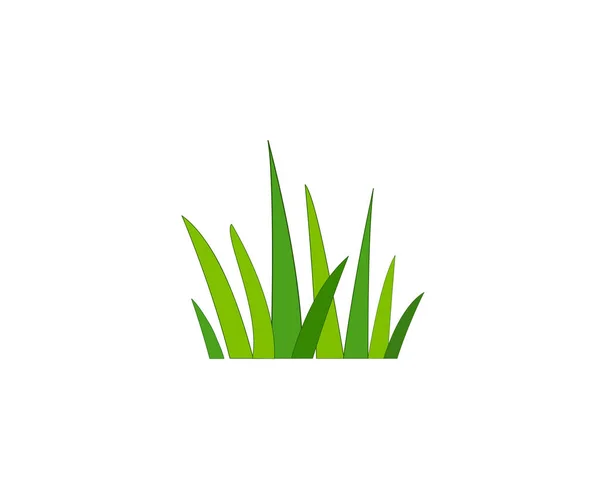 Yeşil Çimenler Gazon Vektör Simgesi Web Sürümü — Stok Vektör