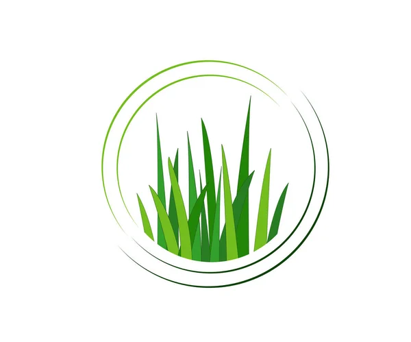 緑の草 ガゾン ベクトル アイコン ウェブ版 — ストックベクタ