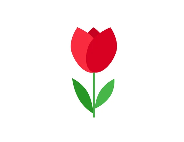 Lapos Ikon Fehér Háttér Tulipán Virágzik Március Női Tavaszi Nap — Stock Vector