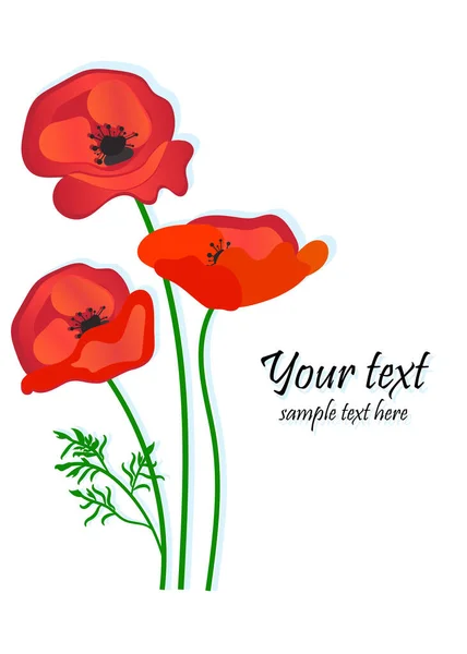 Postcard Poppy Flowers Place Text Vector Icon — Stock Vector