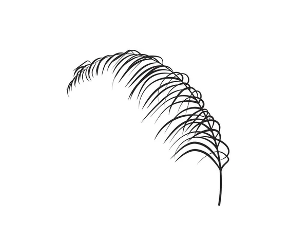 Пальмовий Лист Ізольований Білому Тлі Природа Піктограма Вектора — стоковий вектор