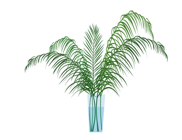 Palm Dracaena Leaf Isolated White Background Nature Vector Icon — Stock Vector