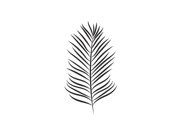 Feuille Palmier Isolée Sur Fond Blanc Nature Icône Vectorielle — Image vectorielle