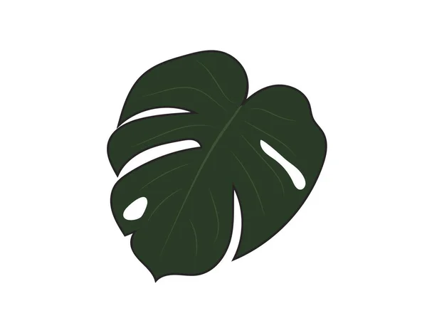 Закрытое Офисное Растение Лист Монстры Дизайн Значок Вектора — стоковый вектор