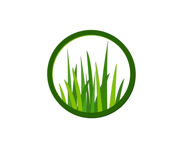 Flat Green Grass Gazon Vector Icon Web Version — Stok Vektör