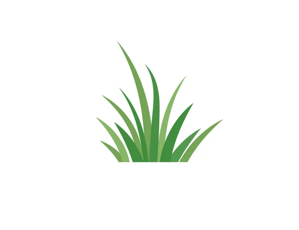 Flat Green Grass Gazon Vector Icon Web Version — 스톡 벡터