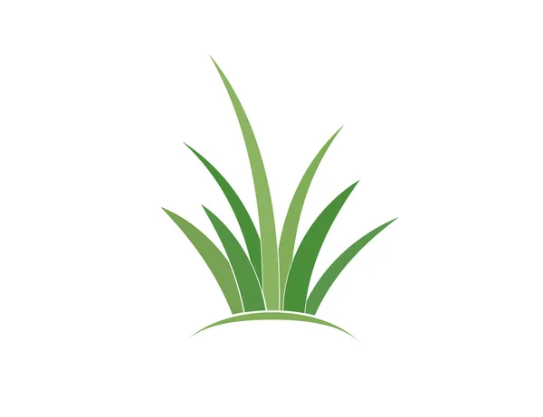 Flat Green Grass Gazon Vector Icon Web Version — Image vectorielle