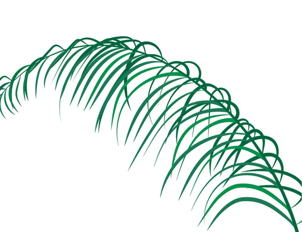 Природа Тропічний Фон Листя Векторні — стоковий вектор