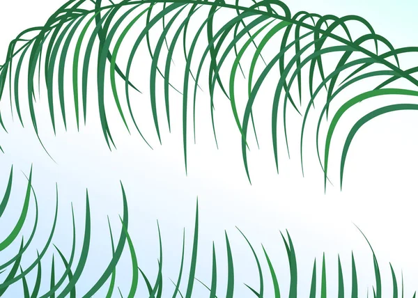 Nature Fond Tropical Feuilles Palmier Ficus Monstère Image Vectorielle — Image vectorielle