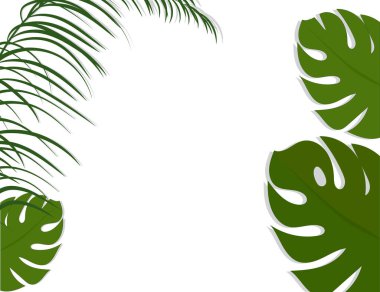 Doğa tropikal arkaplan - yapraklar (palmiye, incir, canavar) vektör görüntü