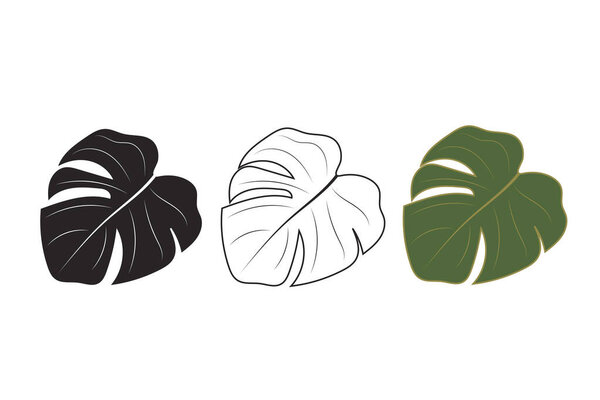 Набор листьев монстера изолирован на белом фоне. Векторные значки