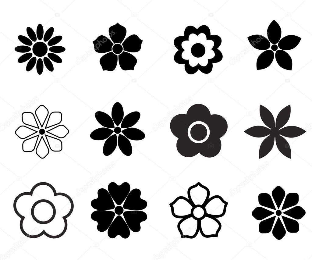 Design icons vector illustration of a flower (chamomile).