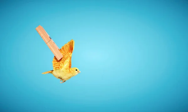 Pássaro Com Asas Amarradas Por Uma Roda Roupa Escape Ambition — Fotografia de Stock