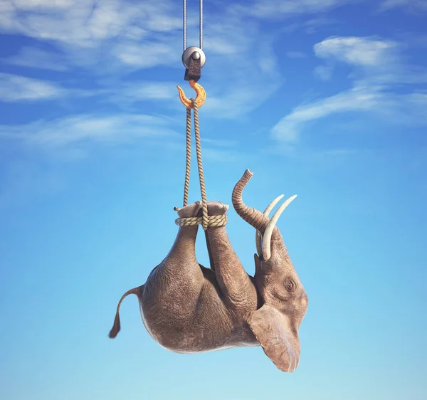 Слон Поднят Верёвкой Невозможное Понятие Render Illustration — стоковое фото