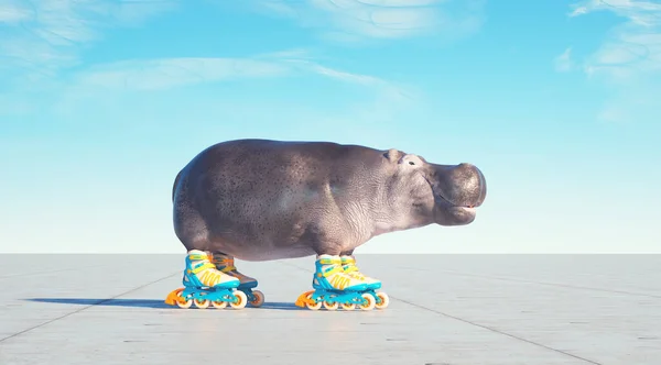 Hippopotamus Goes Rollers Render Illustration — Stockfoto