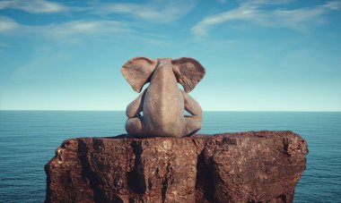 Elephant sitting on a rock admiring the ocean. Aspirations concept. This is a 3d render illustration