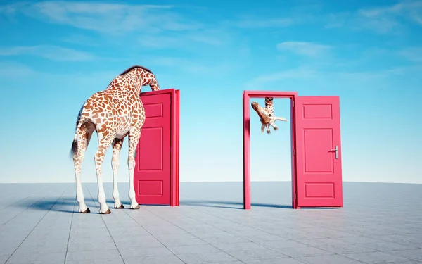Giraffen Går Genom Dörr Och Kommer Genom Annan Möjligheter Och — Stockfoto