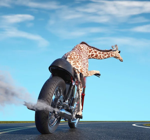 Жираф Їде Мотоциклах Концепція Подорожей Пригод Ілюстрація Рендеринга — стокове фото