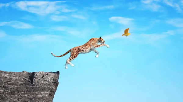 Cheetah Hoppar Från Klippa För Fågel Fälla Och Risk Koncept — Stockfoto