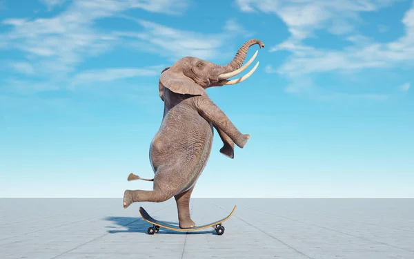 Слон Скейтборде Невозможно Счастье Концепция Render Illustration — стоковое фото