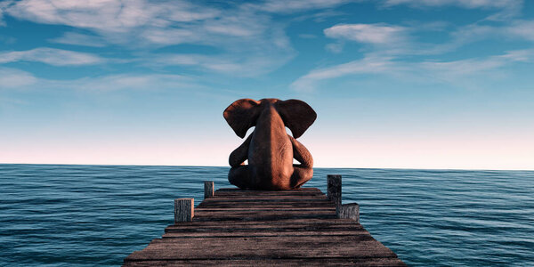 Elephant on wooden deck. Yoga concept. This is a 3d render illustration
