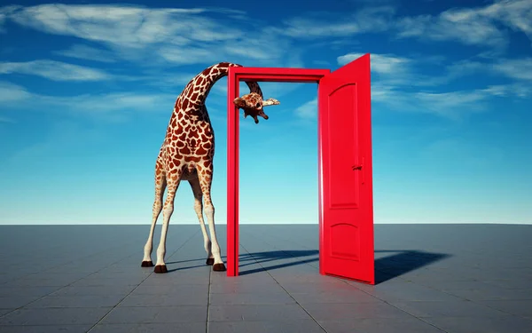 长颈鹿穿过一扇门 好奇心是一个渴望的概念 这是一个3D渲染说明 — 图库照片