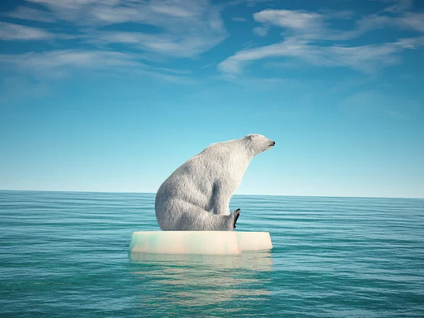 Urso Polar Iceberg Esta Uma Ilustração Renderização — Fotografia de Stock