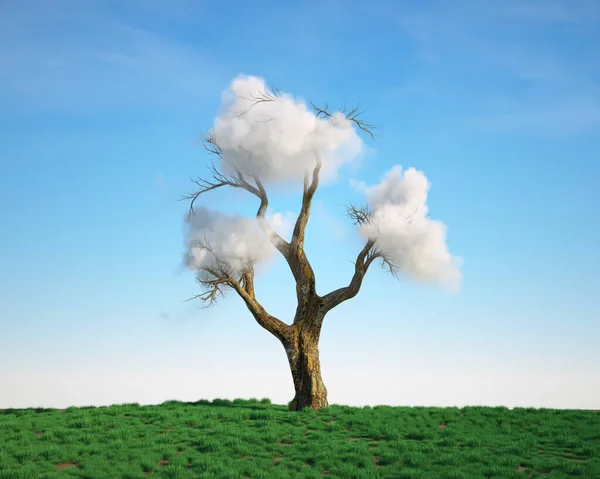 Mezőn Fehér Felhővel Álom Nagy Teljesítmény Koncepció Egy Renderelés Illusztráció Stock Kép