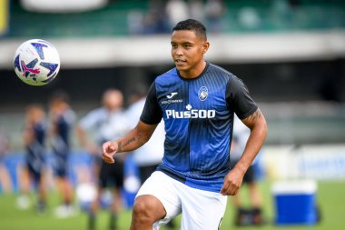 Atalanta 'nın İtalya futbolu sırasındaki Luis Muriel portresi Serie A maçında Hellas Verona FC - Atalanta BC (portreler arşivi) maçı Verona, İtalya' daki Marcantonio Bentegodi stadyumunda, 28 Ağustos 2022 - Fotoğraf: Ettore Griffoni