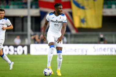 Atalanta 'nın Duvan Zapata portresi İtalyan futbolu Serie A karşılaşması sırasında Marcantonio Bentegodi Stadyumu' nda Hellas Verona FC ve Atalanta BC (portreler arşivi) maçında, 28 Ağustos 2022 - Fotoğraf: Ettore Griffoni